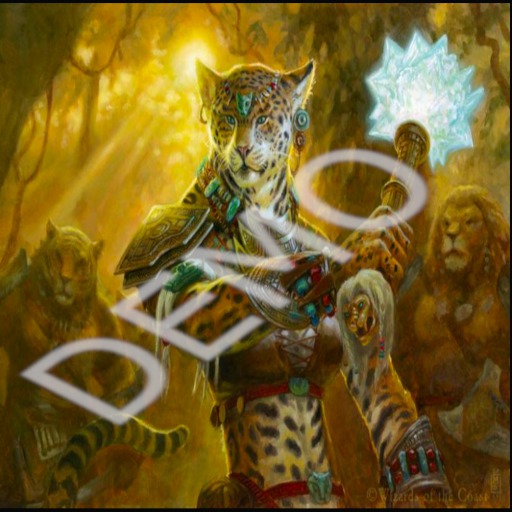 cheetah chief