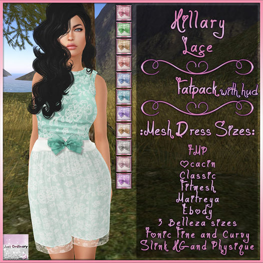 Hillary Dress With Hud Lace