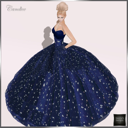 SAS - Candice PROMO Gown