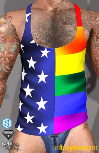 boyberry Pride Tank Flag