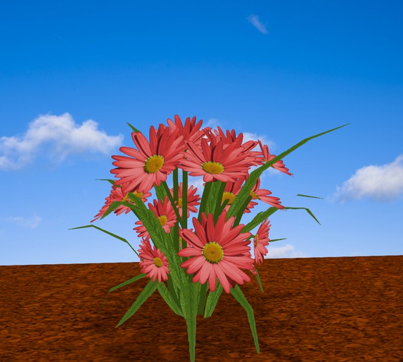 Red daisies bush for garden, as a gift or pretty table decor