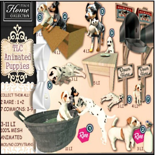 *TLC Puppies 6_Common