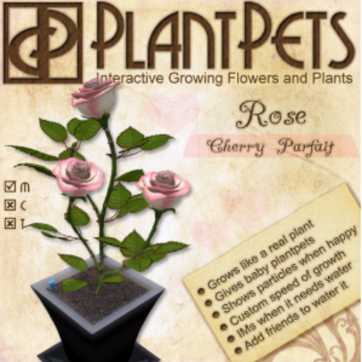 PlantPet Seed [Rose *Cherry Parfait*]