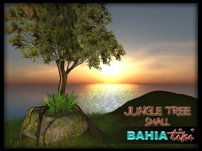 Bahia Tiki- Rocky Jungle Tree