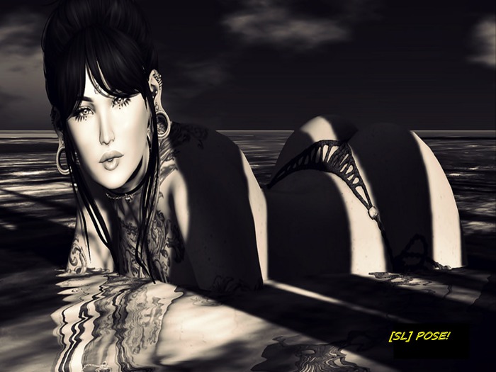 [SL] POSE GIFT BENTO