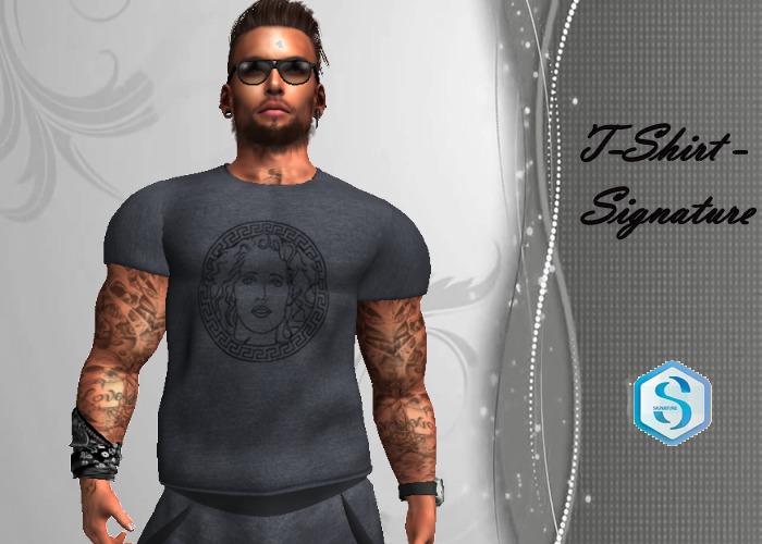 T-shirt gray-Signature