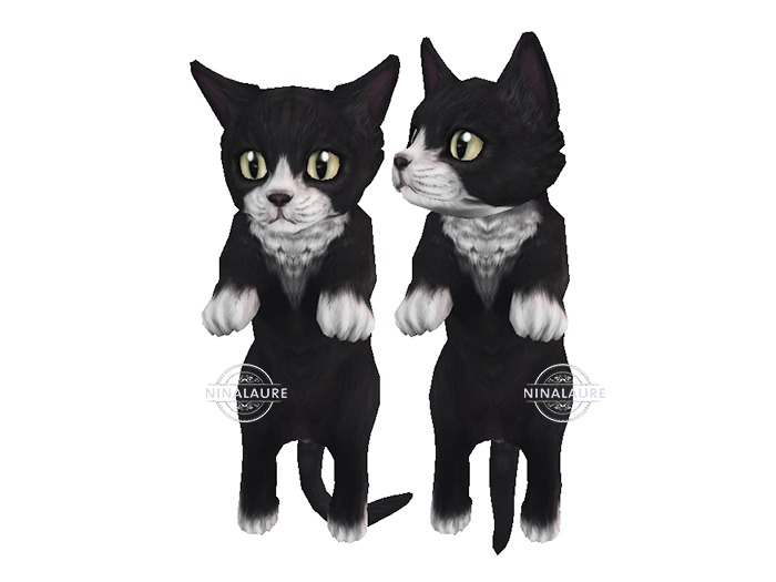JIAN Munchkin Kittens :: Tux Held Kitten RARE