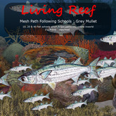 Inochi Reef - Mesh Grey Mullet School