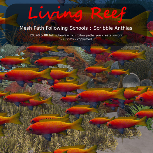 Inochi Reef - Mesh Scribble Anthias School - Boxed