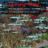 Inochi Reef - Mesh Silversides School