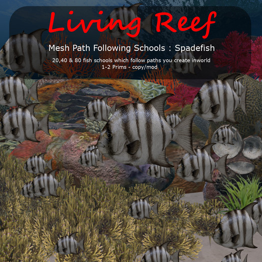 Inochi Reef - Mesh Spadefish School