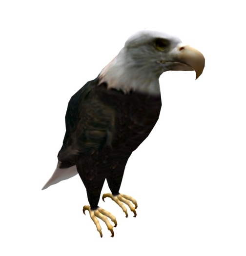 Mesh Bald Eagle