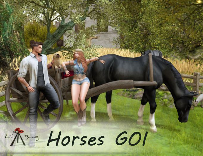 Lil'Bug Horses GOI