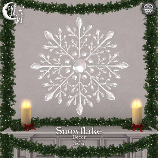 *NW* Snowflake Decor