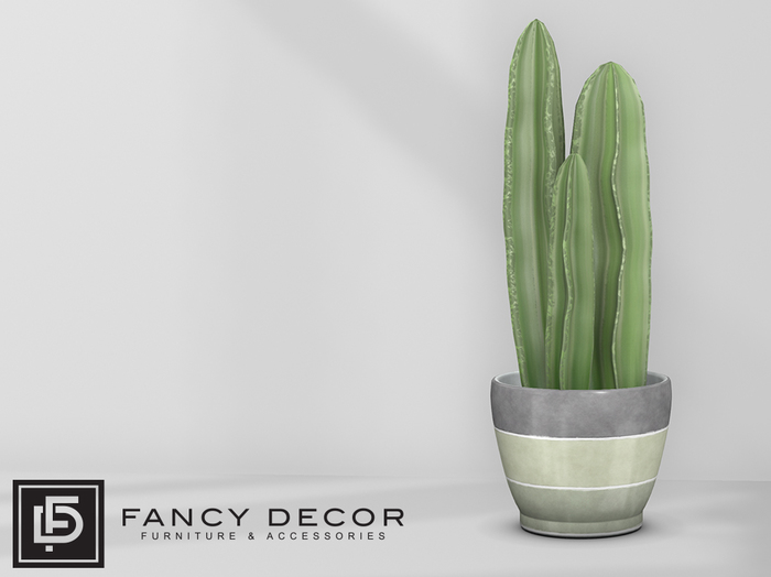Fancy Decor: Foskett Potted Cactus