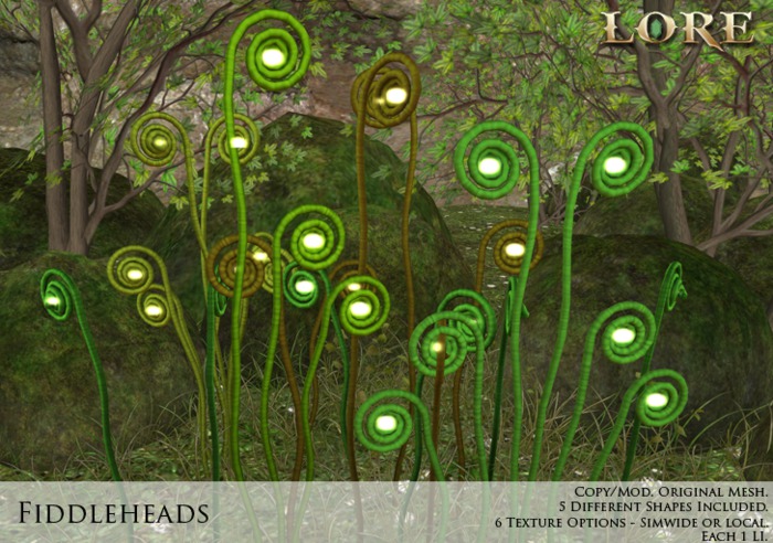 {LORE} Fiddleheads (boxed)