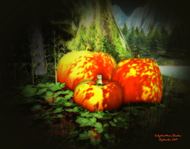 2017-09 Autumn's Here (boxed)