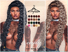 Dafnis vendor fat pack hair curly