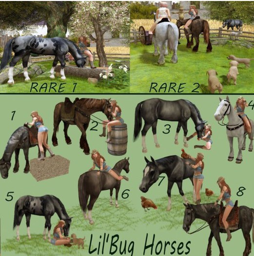 Lil'Bug Horses 1 RARE