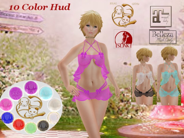 [RG] Dessous Blouse&Shorts&HUD Box