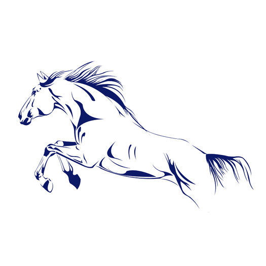 jumping horse