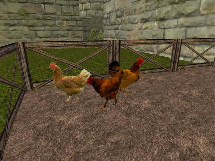 Chickens x3 (1 Prim each)(Boxed)