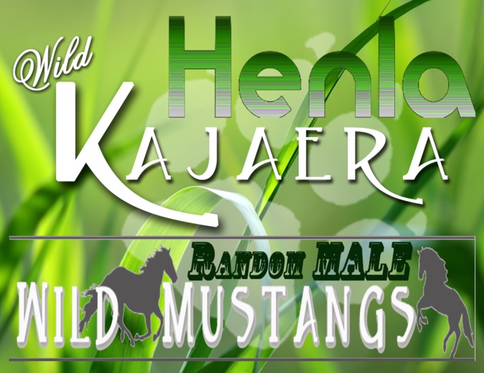 Sacks Male WK mustang Random