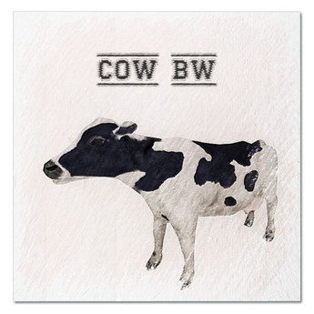 Second Life Marketplace - [FP] DFS Cow BW Texture /copy