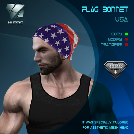 Nurbs Bonnet USA