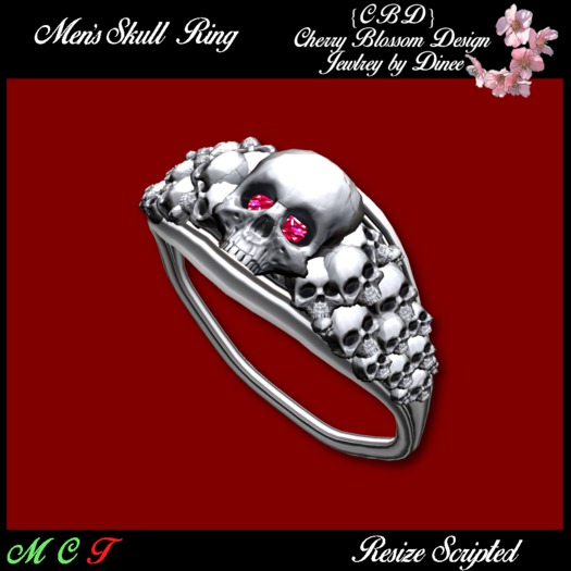 Men's Skull Ring (boxed)