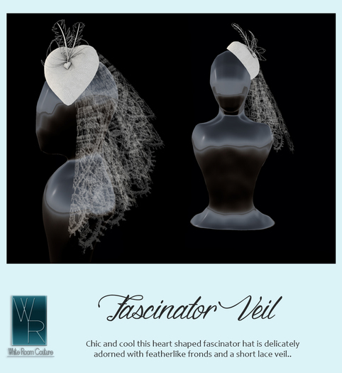 WRC Veil Store ... Fascinator Veil demo box