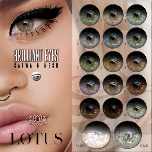 LOTUS. Brilliant Eyes 17 RARE