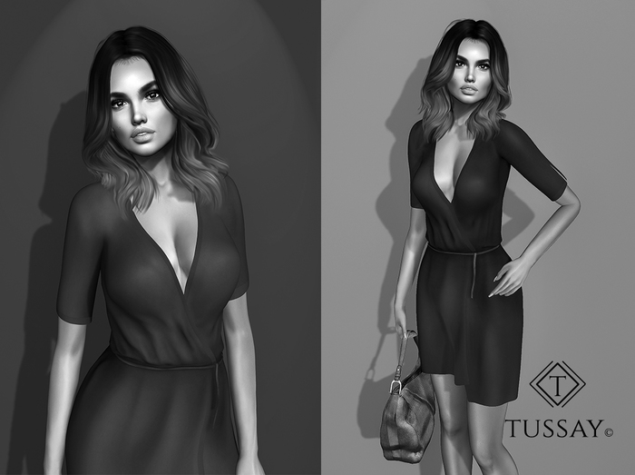 TUSSAY Anilka Dress - DEMO