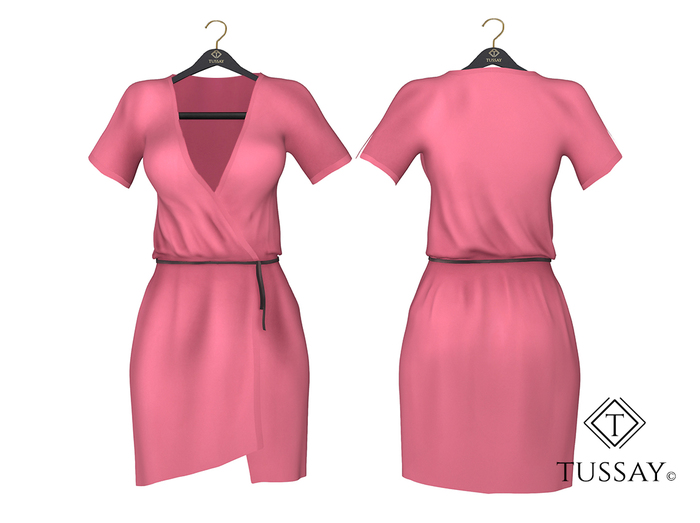 TUSSAY Anilka Dress - Rose
