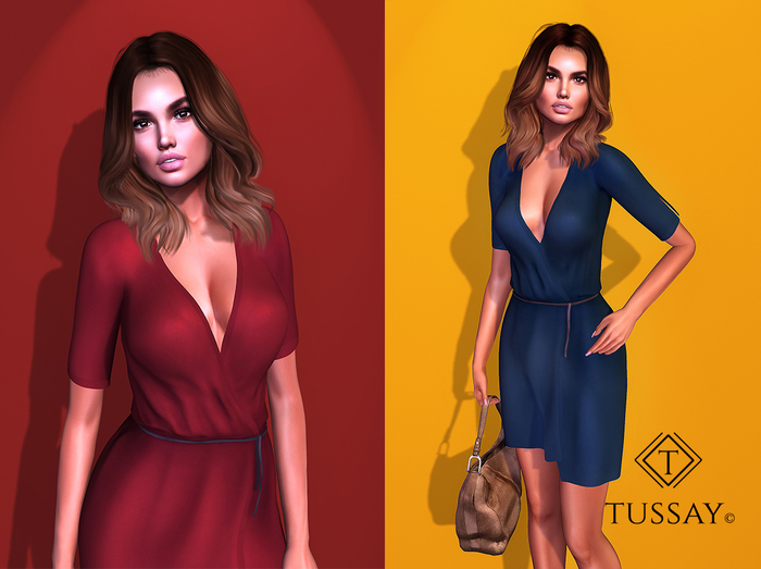 TUSSAY Anilka Dress - FATPACK