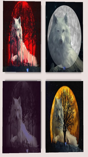 2016-12 Moon Wolf Pack (boxed)