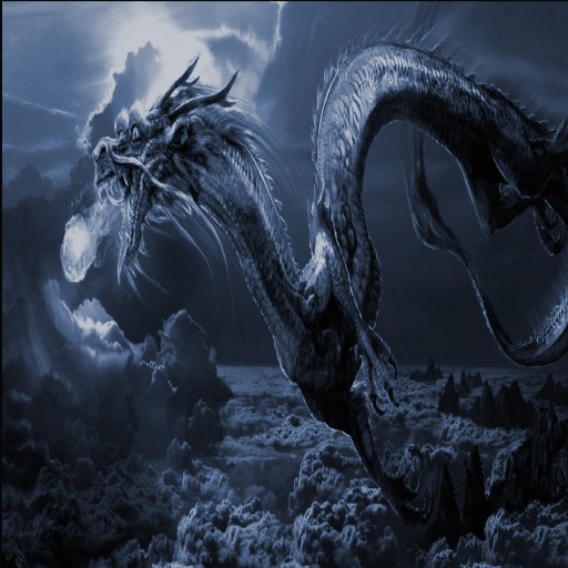 sky dragon