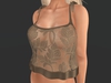 Snapshot 011