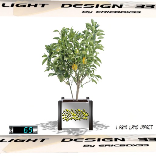 Lemon Tree -Modern Planter1 with Color change Menu-Mesh-(Boxed)