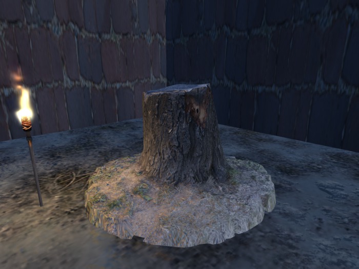 stump4