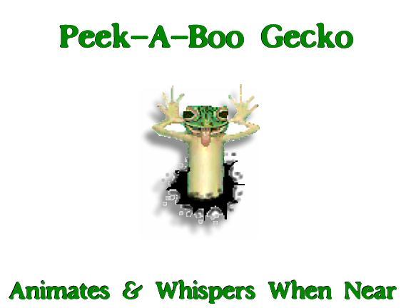 Little Peek-A-Boo Gecko Lizard- Animated-