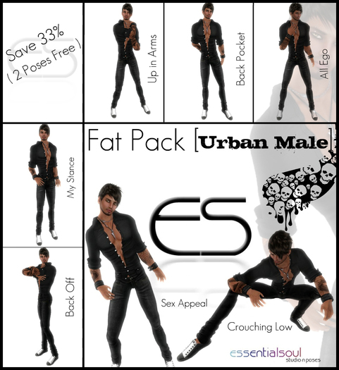 *ES* Fat Pack Urban Male