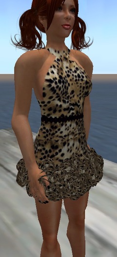 Leopard Dress