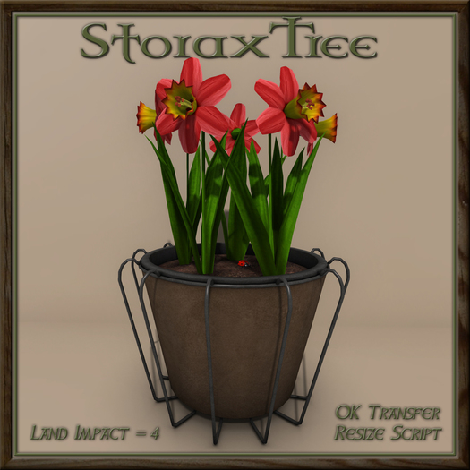 Wired Planter Daffodil B2