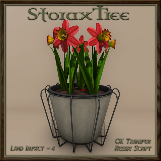 Wired Planter Daffodil B5