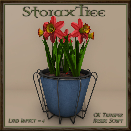 Wired Planter Daffodil B8