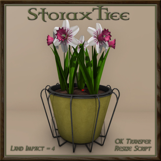 Wired Planter Daffodil C17