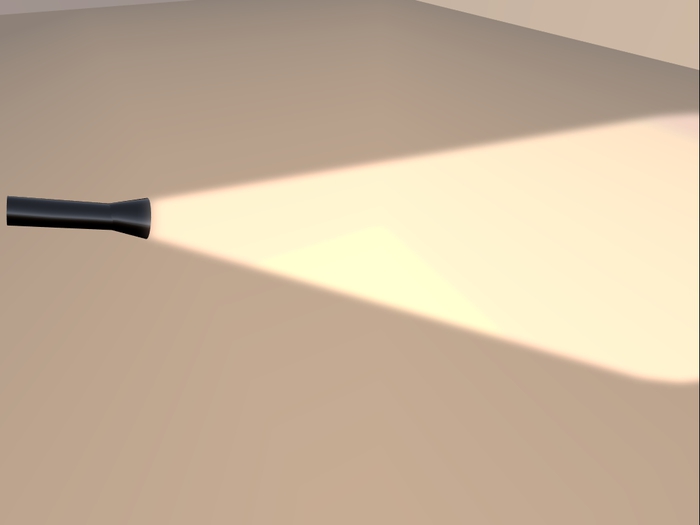 Flash Light