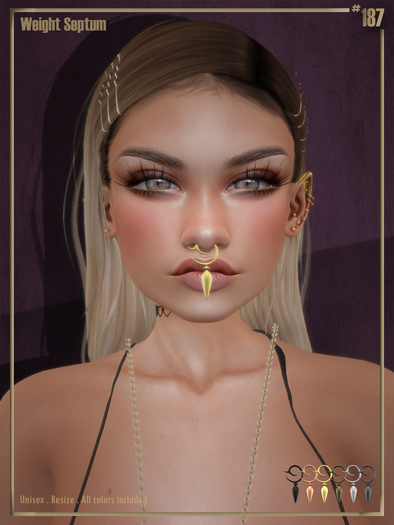 #187# Weight Septum