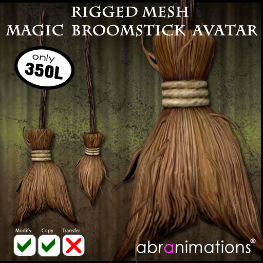 * Magic Broomstick Avatar *
